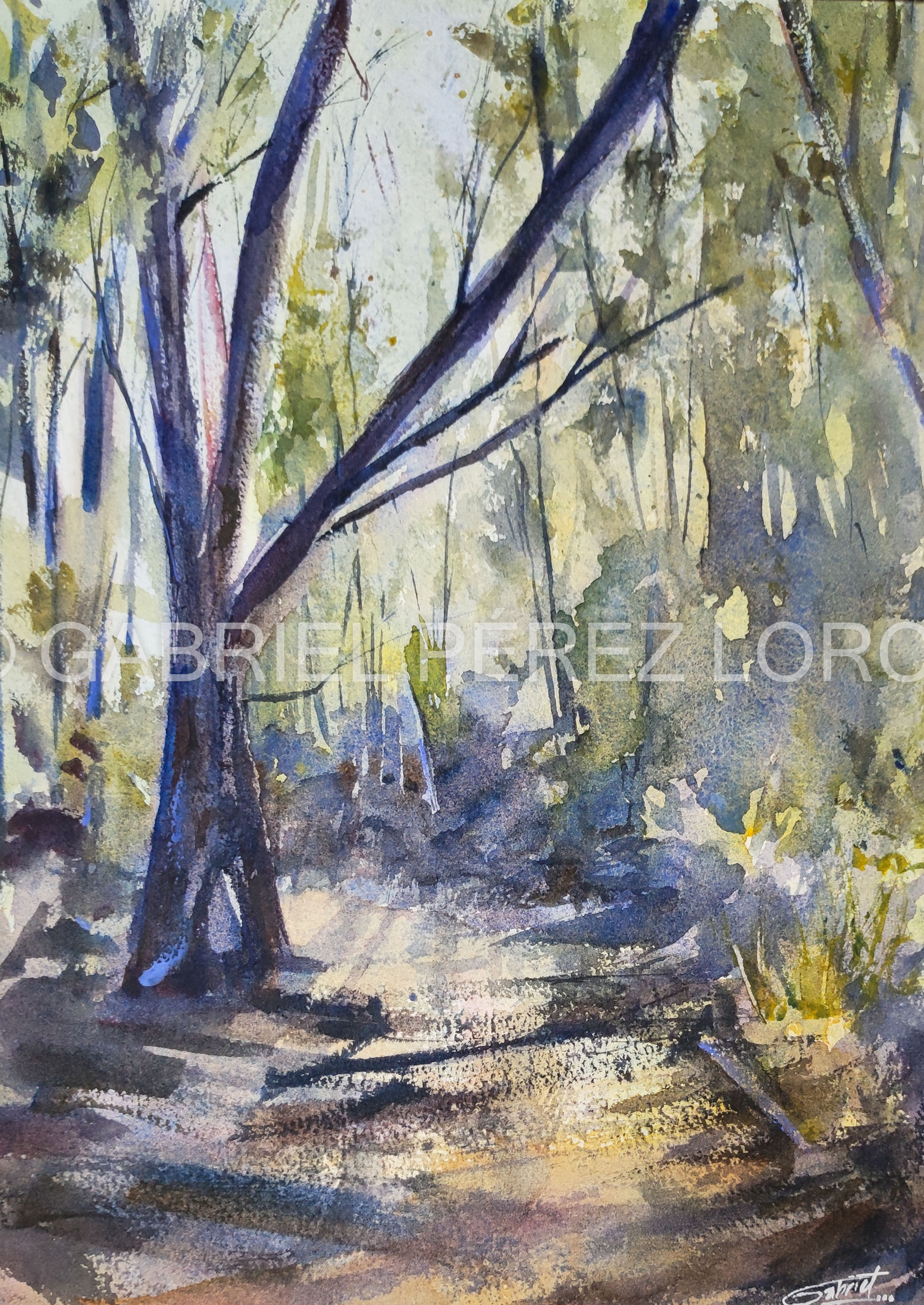 Caminata en Curauma 36x28cms