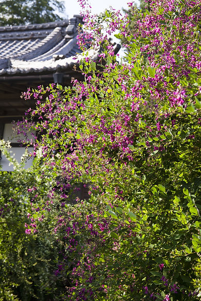 寺宝