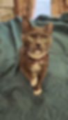 1000063365.jpg