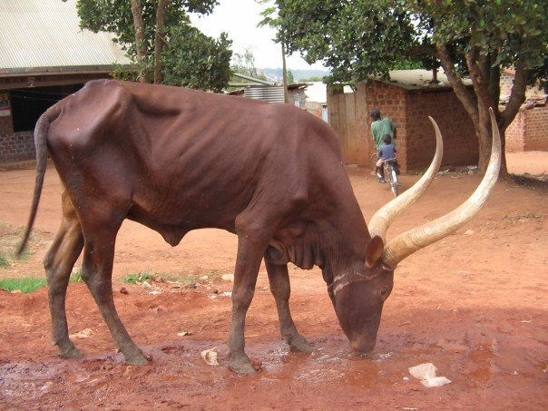 Being Transformed In Kenya!