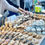 Thumbnail: Party Platter of 100 Cookie Variety Mix