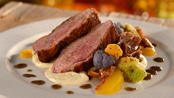 Walt Disney World Free Dining