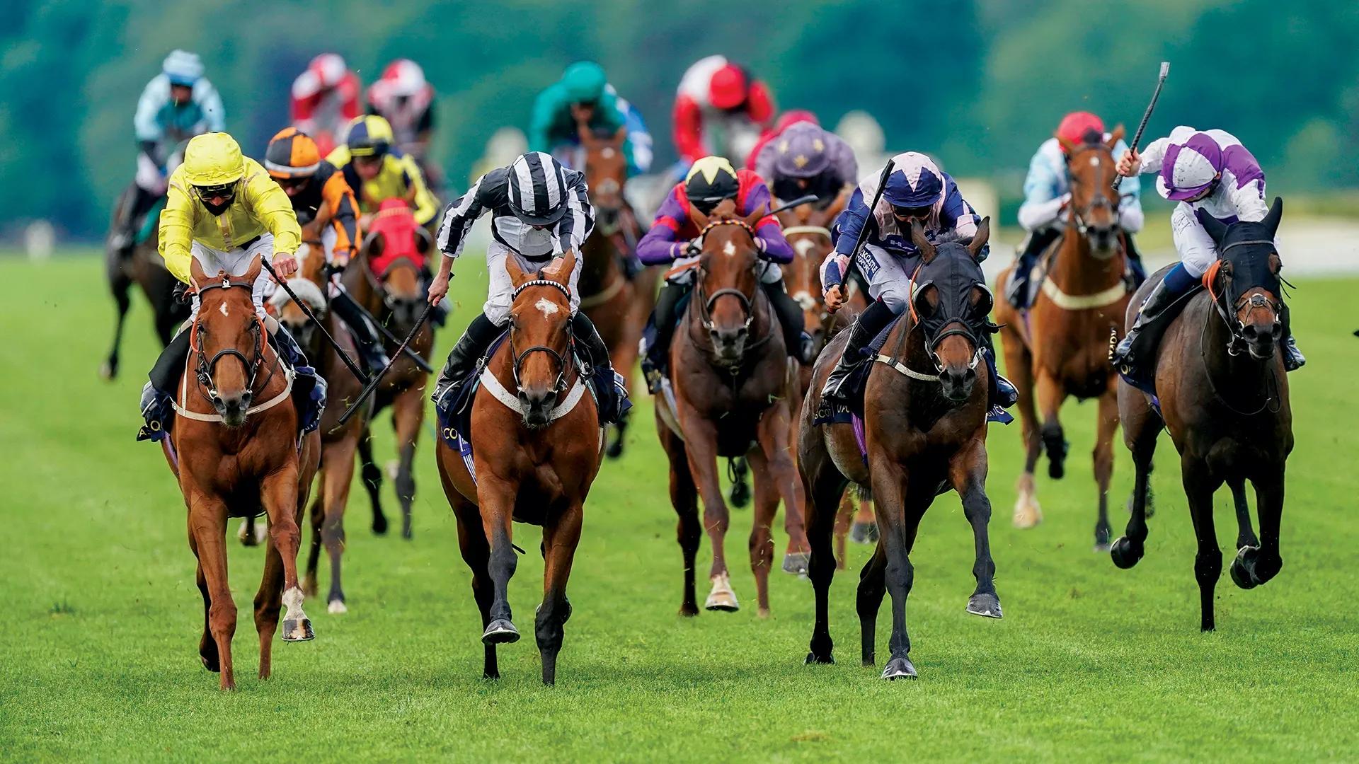 20200617-Ascot-02.webp