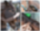 Beige Minimalist Mood Photo Collage.png