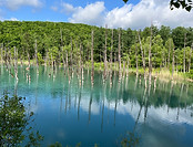The Blue Pond