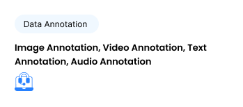 A rounded, light grey box with a 'Data Annotation' label, listing services such as Image Annotation, Video Annotation, and Audio Annotation.