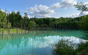 IMG_3688 (1).jpeg