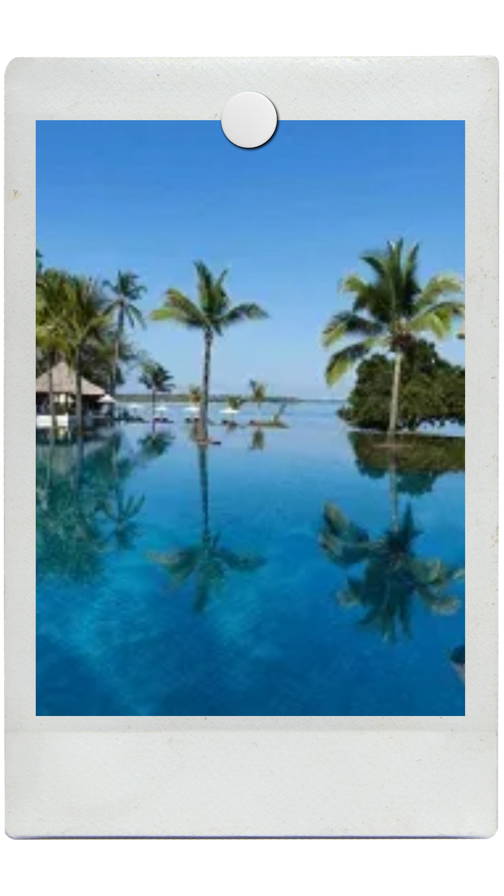 sarah & zain website mockup.pdf (1).png