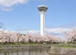 tower hakodate