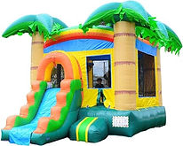 Tropical no pool.jpg