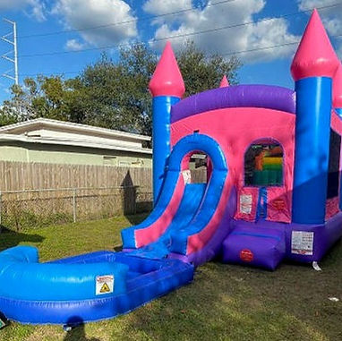 pink and purple single slide_edited.jpg