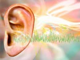 The Enigma of Tinnitus
