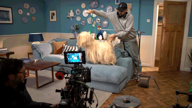 DFS_BTS_EDIT_V11_8.gif