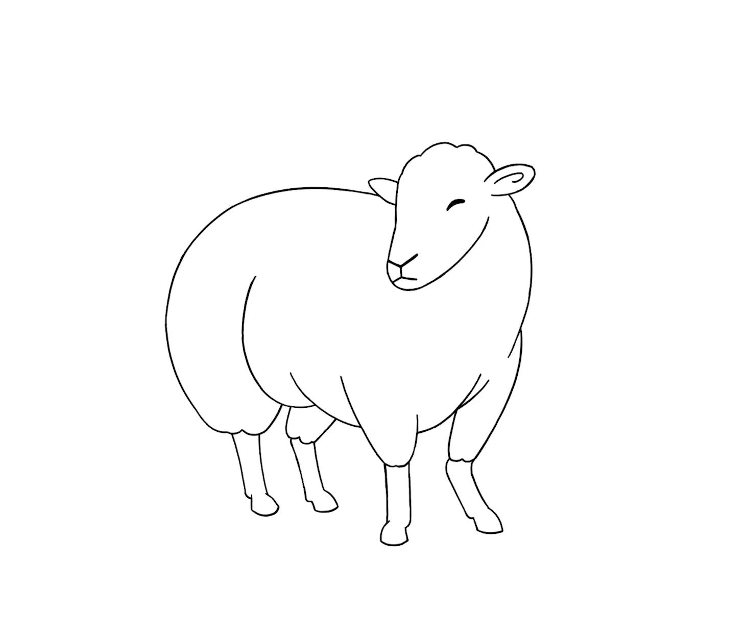 DFS-Will-Wightman-SHEEP.gif
