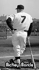 mantle03.jpg