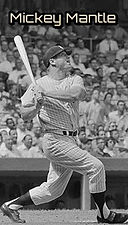 mantle10.jpg