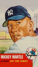 mantle16.jpg