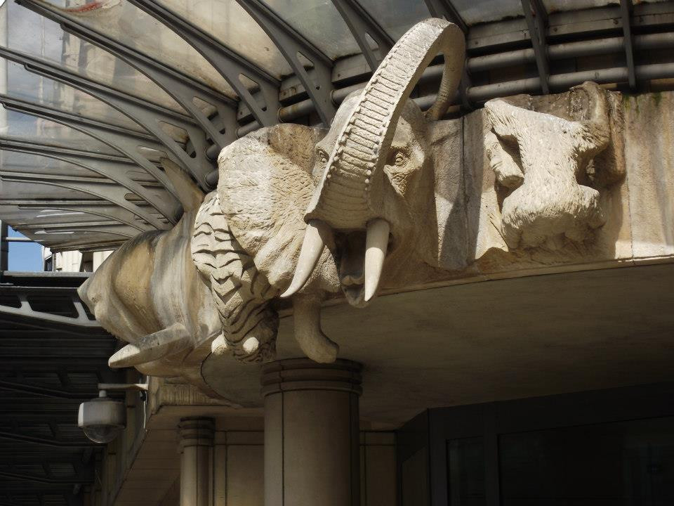 Allington House Endangered Species doorway, Victoria - by Barry Baldwin