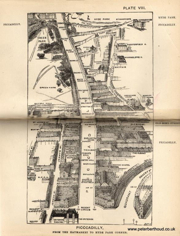 Plate ViII. Piccadilly