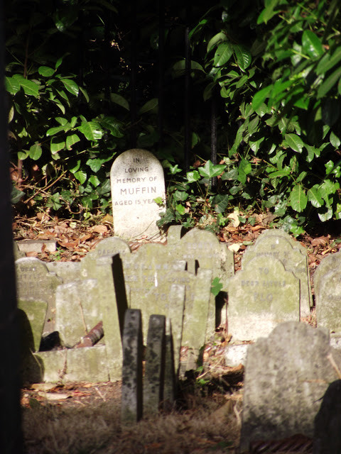 Pet cemetery in Hyde Park London