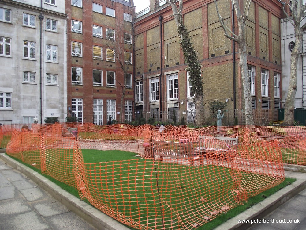 Bland boring lawn