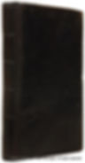Horace Salusbury Cotton's (Ordinary at Newgate Prison) Newgate Prison Execution Journal