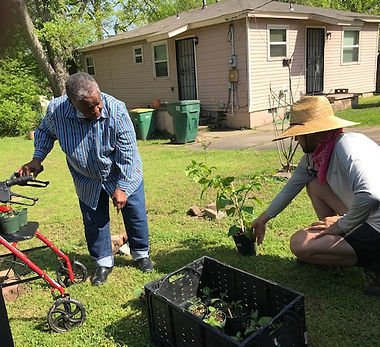 sarah garden josh teaching pepper plants (1).jpeg