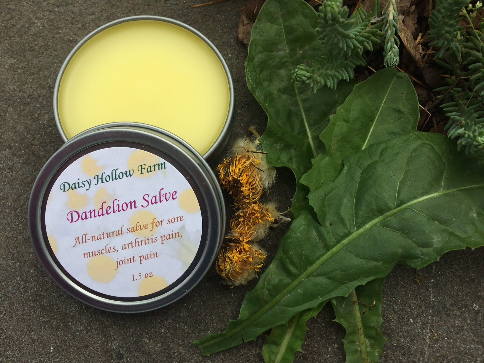 Dandelion Salve