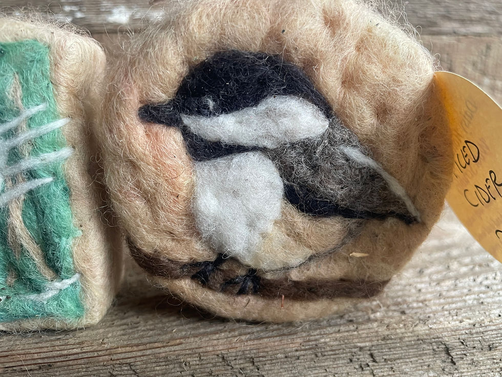 Thumbnail: Bird Series Wool Scrubby