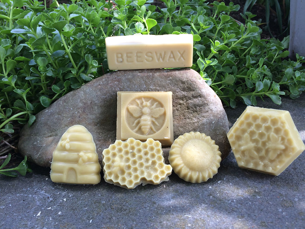 Lotion Bars - 3 Varieties