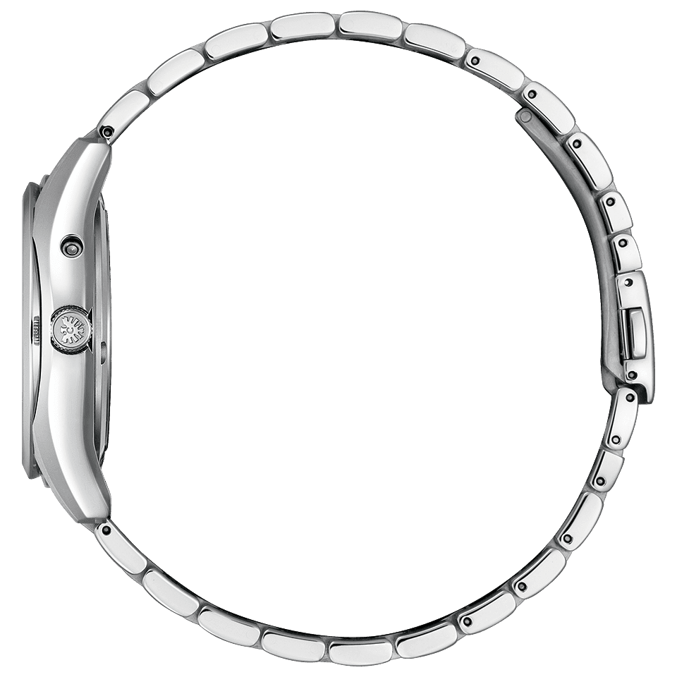 Thumbnail: The Citizen AQ4080-52E