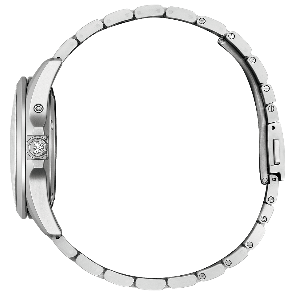 Миниатюра: The Citizen AQ4091-56M