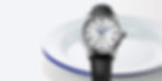 Seiko Presage