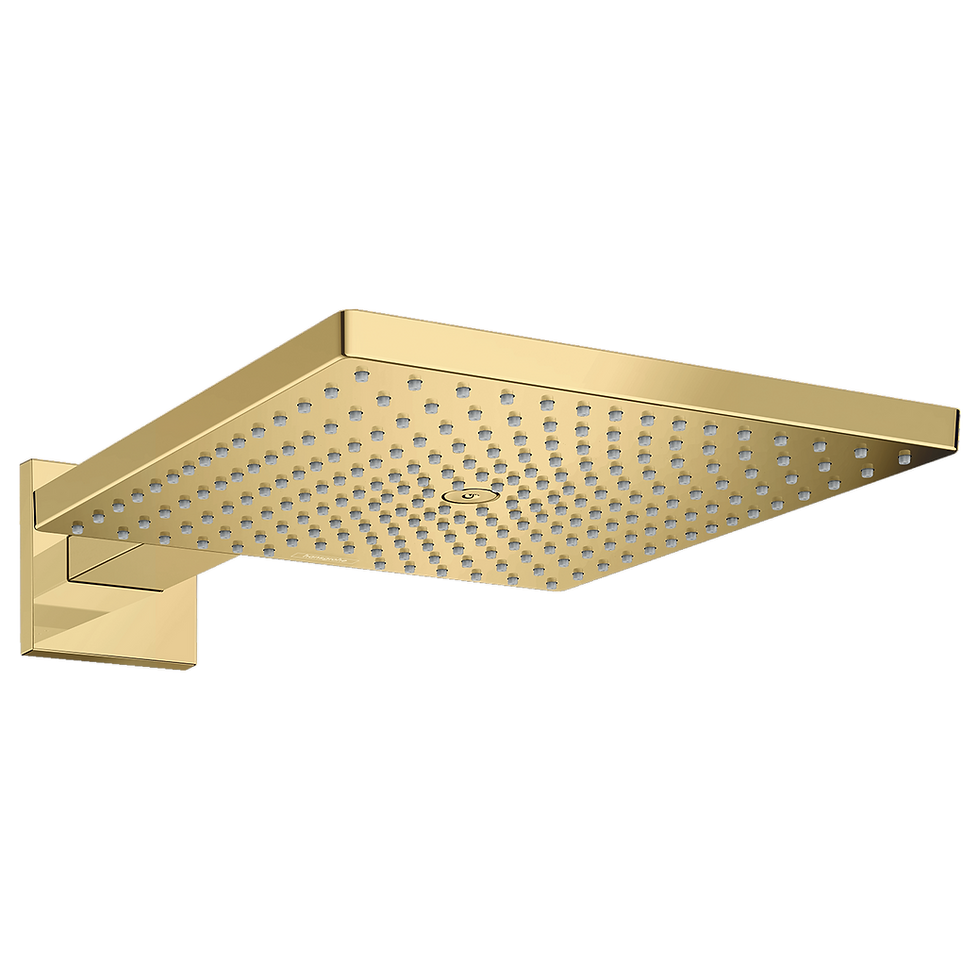 縮圖：hansgrohe Raindance 300 頭頂花灑