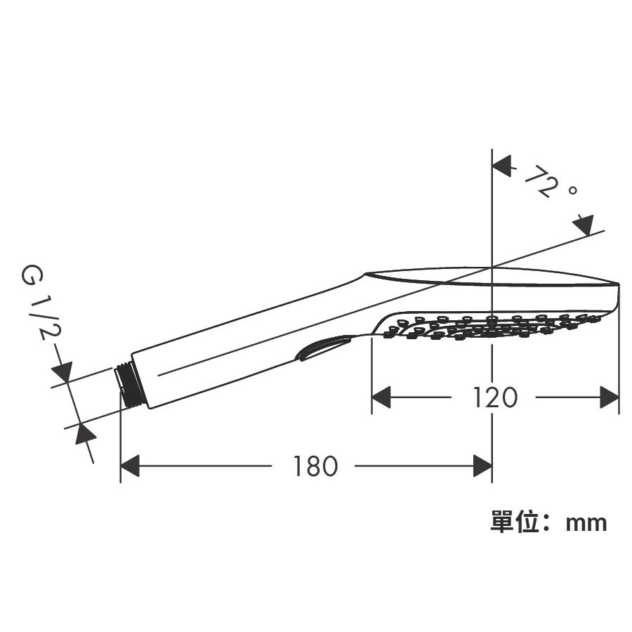 縮圖：hansgrohe Raindance 300 手持花灑