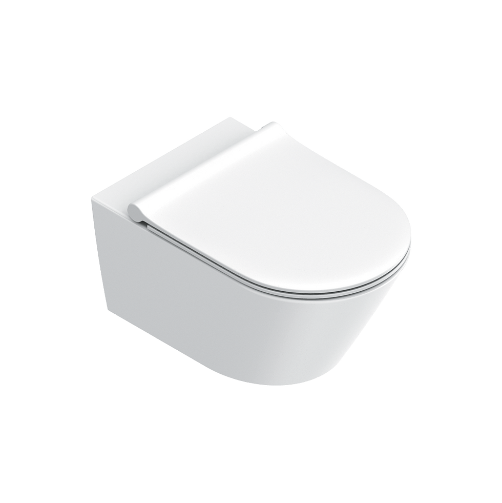 縮圖：Zero WC 55 壁掛式馬桶