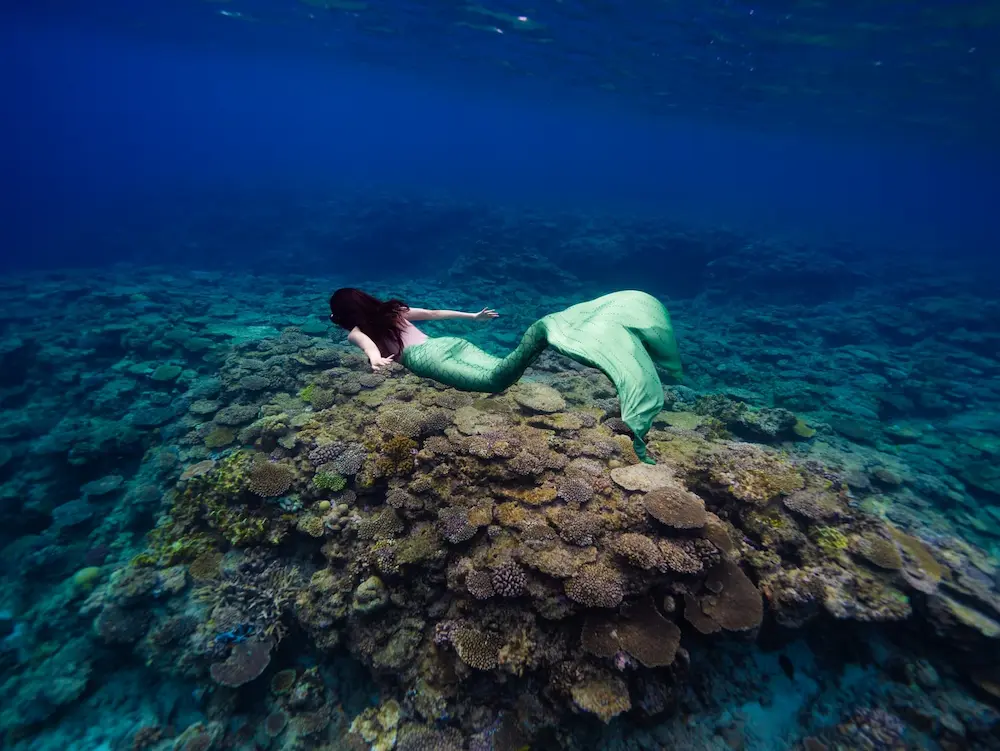 自由潛水 人魚潛水 水肺潛水