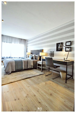 Projeto - The Gray Stripes