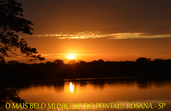 ROSANA/SP
