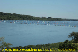 ROSANA/SP