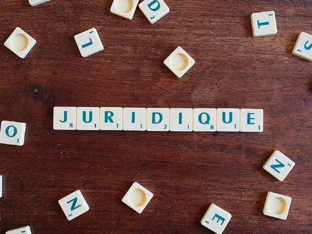 Remuneration du Gerant d'EURL : une decision de jurisprudence qui va faire date