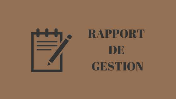 Rapport de gestion expert comptable lyon