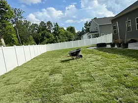 2025-06-15.webp