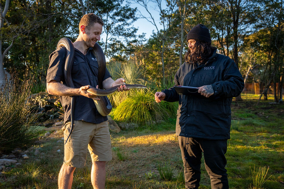 Dom capturing the sincerity of Ben Dessen and Oliver the Olive Python for the Hills Wildlife Sanctuary fundraiser video.