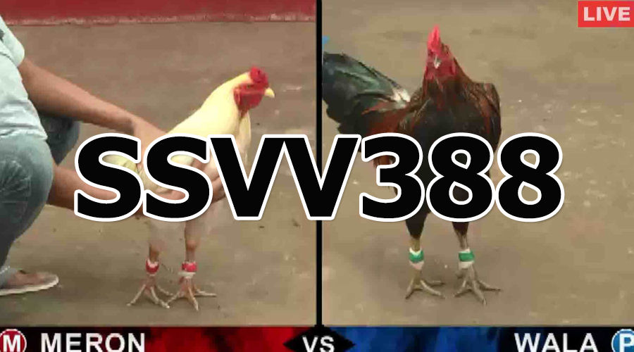 Ưu điểm nổi bật trang web SSVV388