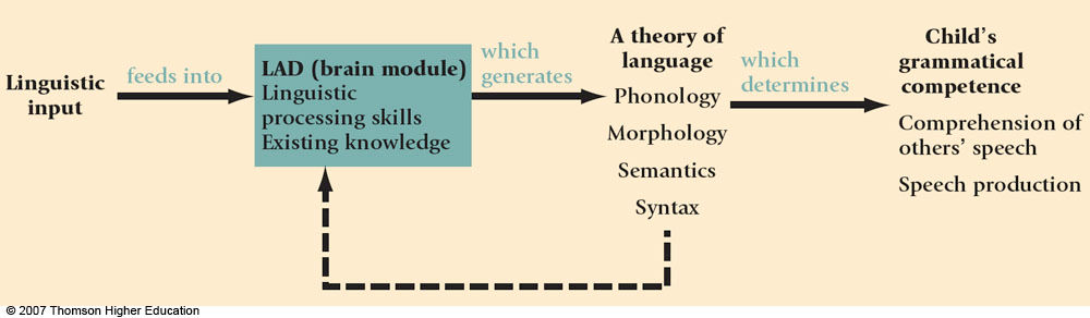 Lad Language Acquisition Device Innatism and the Language Acquisition Device (LAD)