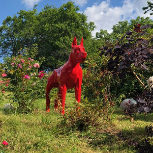 Retour client pour une statue chien rouge