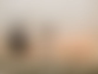 A newlywed couple shares an emotional moment during their reception reveal at Ingleside Hotel in Waukesha, Wisconsin, standing in front of a stunning draping wall designed by Heavenly Creations.