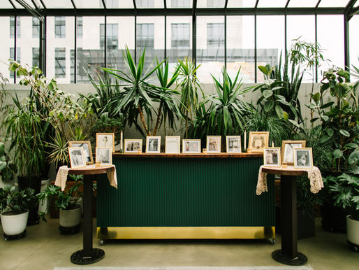 greenhouse wedding reception with minimal decor and photo display surrounded by plants