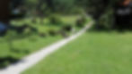 Auslauf auf Wiese